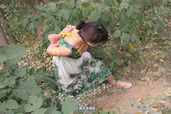 胜景山庄 - 275-山林绑着堵嘴狂跑 第 8 张图片