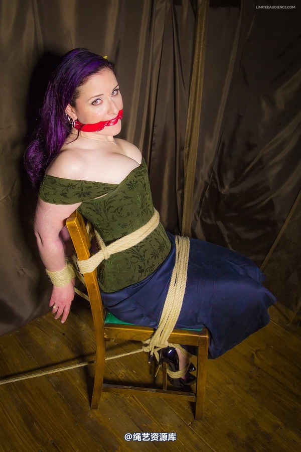 limitedaudience - 2014 caroline pierce captured damsel 第 23 张图片
