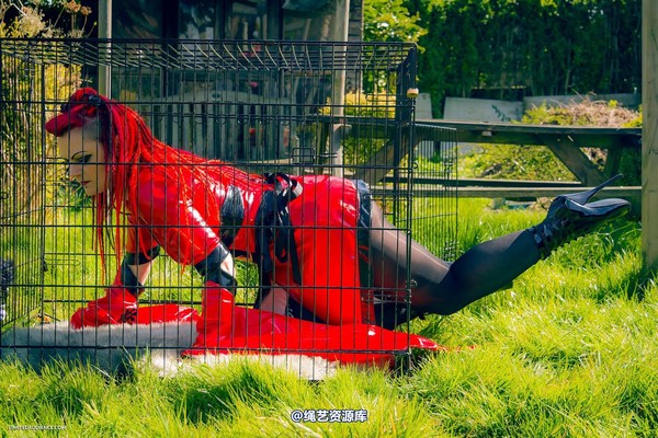 limitedaudience - 2015 raevan into the cage 第 32 张图片