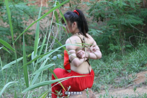 胜景山庄 - 162-野外红肚兜 第 40 张图片