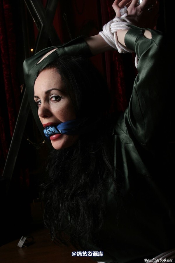 bondagebob - Morrigan Lets have a pole 第 57 张图片