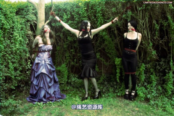 limitedaudience - 2009 catya elyssia lolly pleasure reserves 2 第 5 张图片