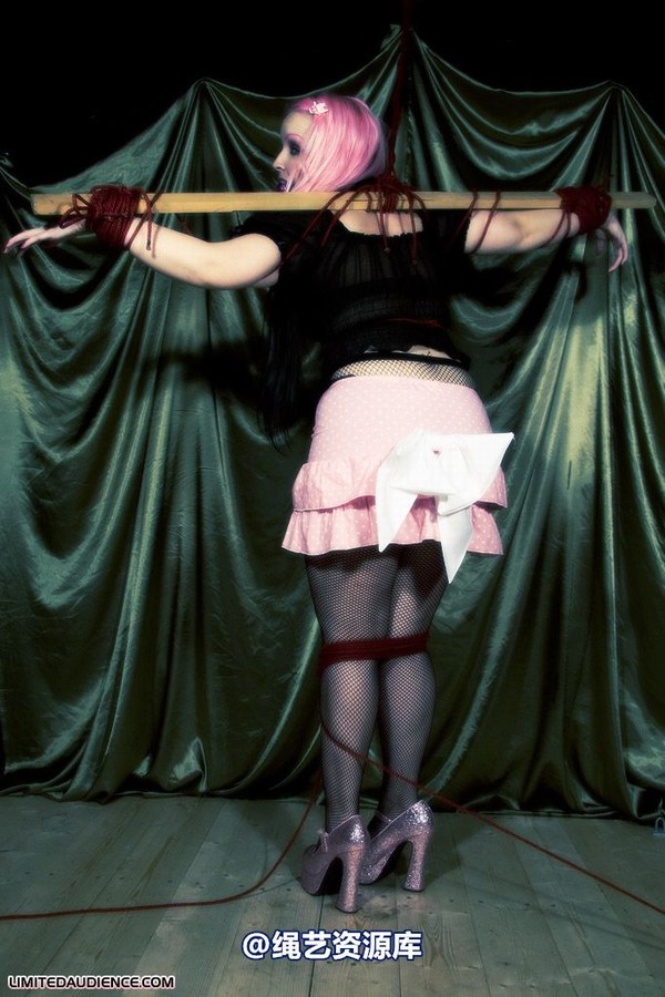 limitedaudience - 2009 assisted suicide profoundly entangled 第 8 张图片