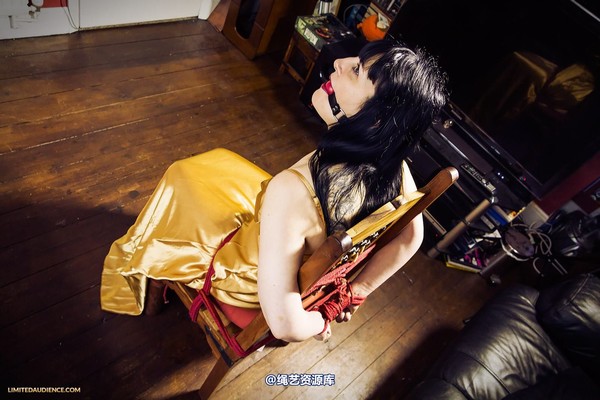 limitedaudience - 2013 dynamo golden satin 第 2 张图片