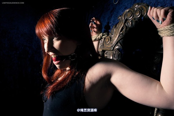 limitedaudience - 2012 syrah lee defiant captive 第 25 张图片