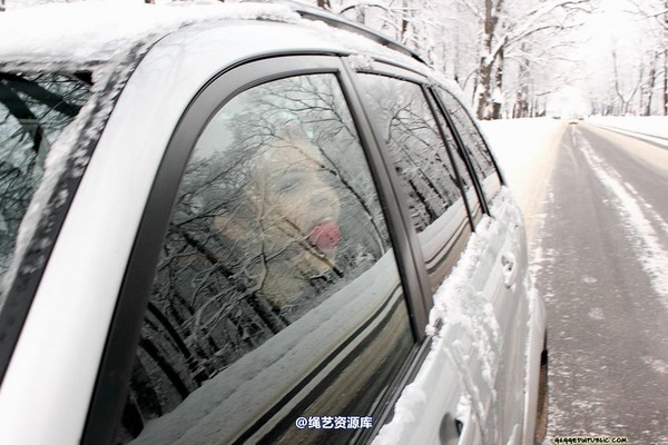 gaggedinpublic - gip214 第 81 张图片