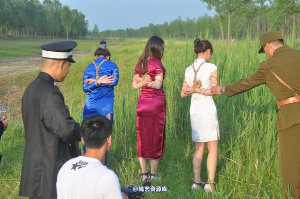 mj影视 - 凤凰烈焰 第 314 张图片