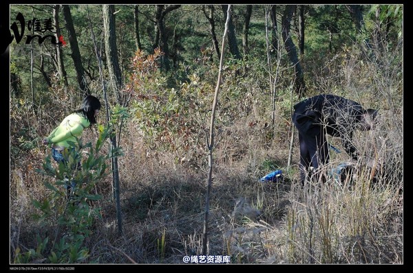 唯美之家 - 2008-11-27萧雅 第 153 张图片