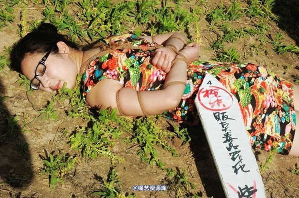 mj影视 - 紫云的末日紫云2-2013-05-23 第 253 张图片