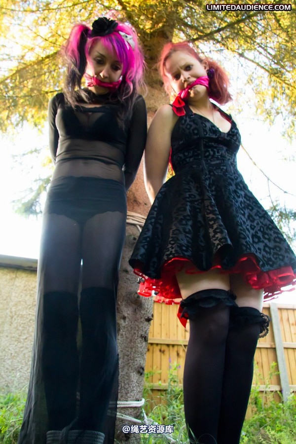 limitedaudience - 2011 beckykat loltaru moored to tree 2 第 13 张图片