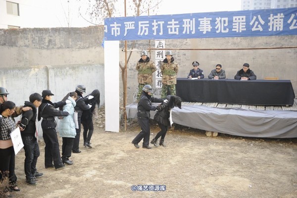 mj影视 - 2014-01-23 新春严打套图1 第 534 张图片