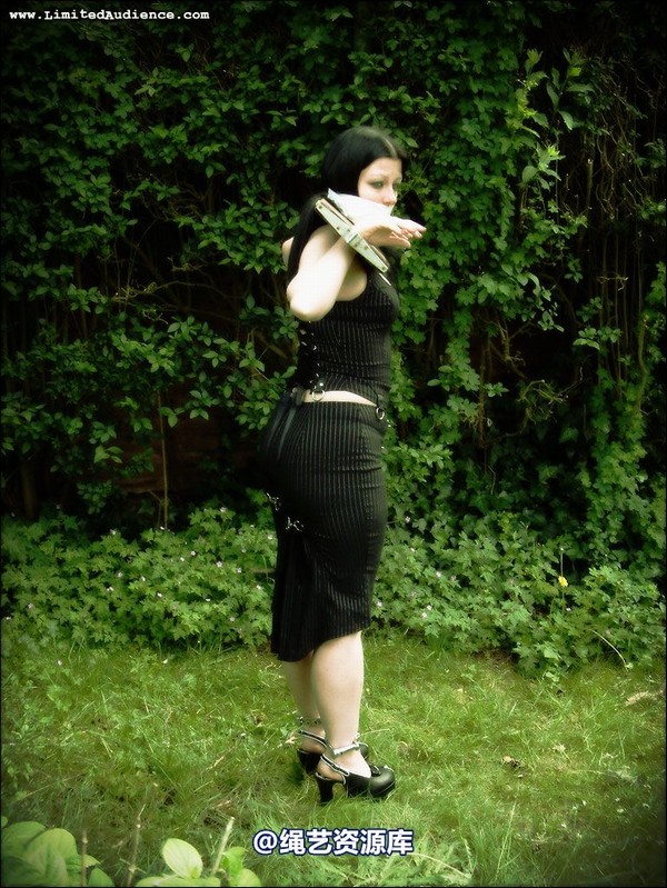 limitedaudience - 2007 asphyxia silenced secretary 第 29 张图片
