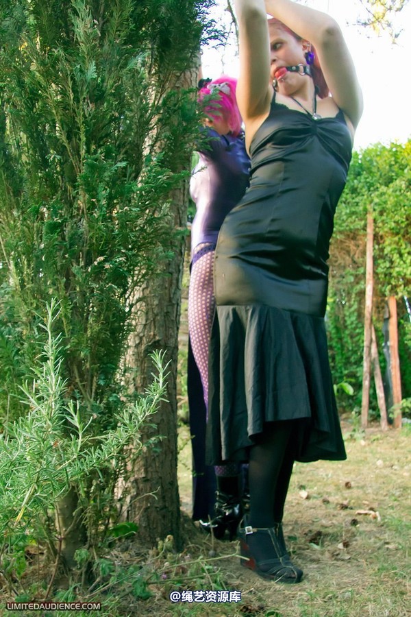 limitedaudience - 2011 beckykat loltaru chained tree seesaw 第 35 张图片