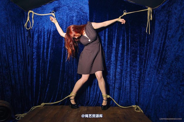 limitedaudience - 2013 ivory not what she meant 第 29 张图片