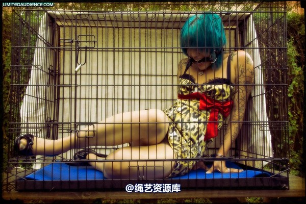 limitedaudience - 2009 b caged animal 第 23 张图片