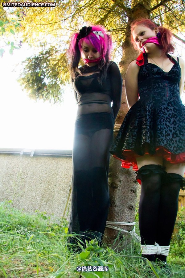 limitedaudience - 2011 beckykat loltaru moored to tree 2 第 14 张图片