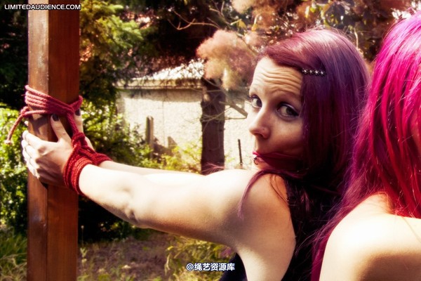 limitedaudience - 2011 elyssia violet reign two for one 2 第 4 张图片