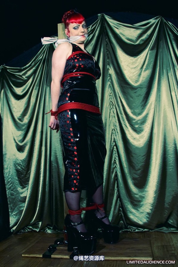 limitedaudience - 2010 raevan postbound 2 第 33 张图片