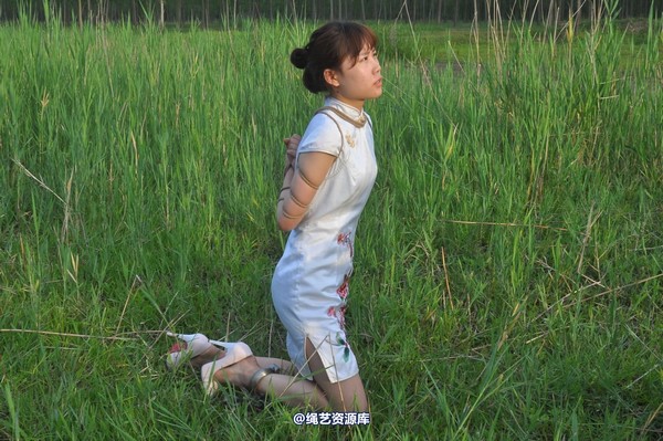 mj影视 - 凤凰烈焰 第 360 张图片