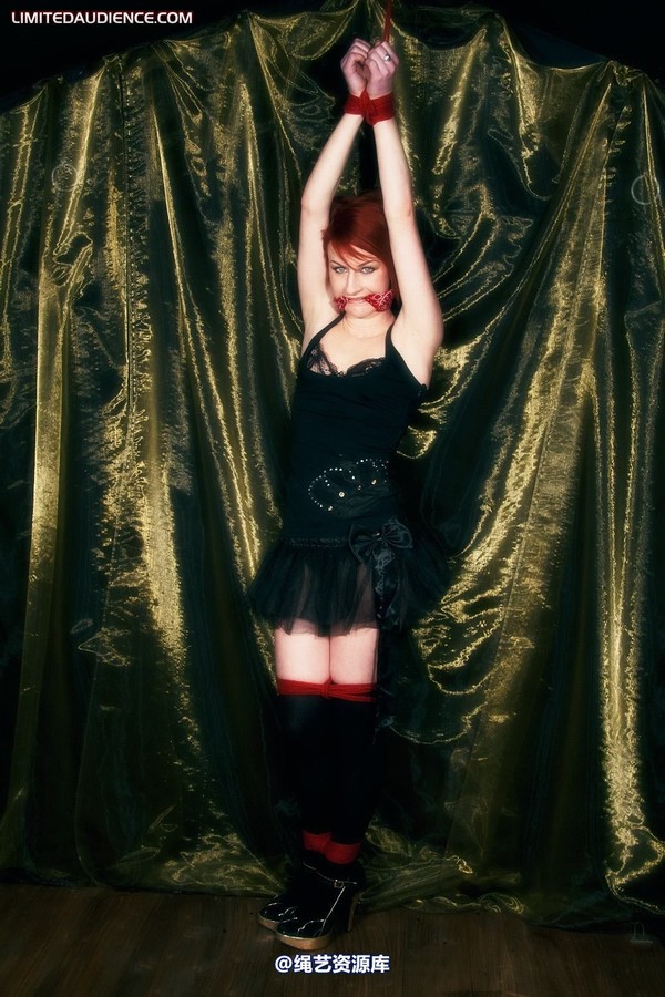 limitedaudience - 2011 madison rouge dangling helplessly 2 第 14 张图片