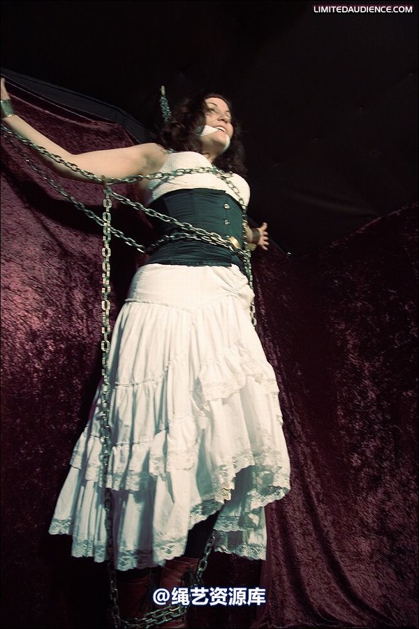 limitedaudience - 2008 veriddian chains on velvet 第 4 张图片