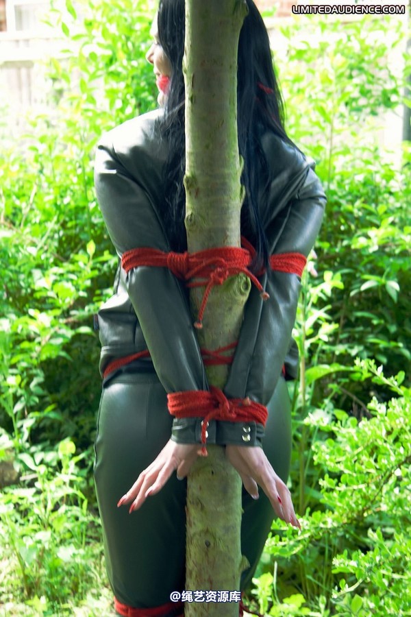limitedaudience - 2011 rebekka raynor one with the tree 2 第 2 张图片