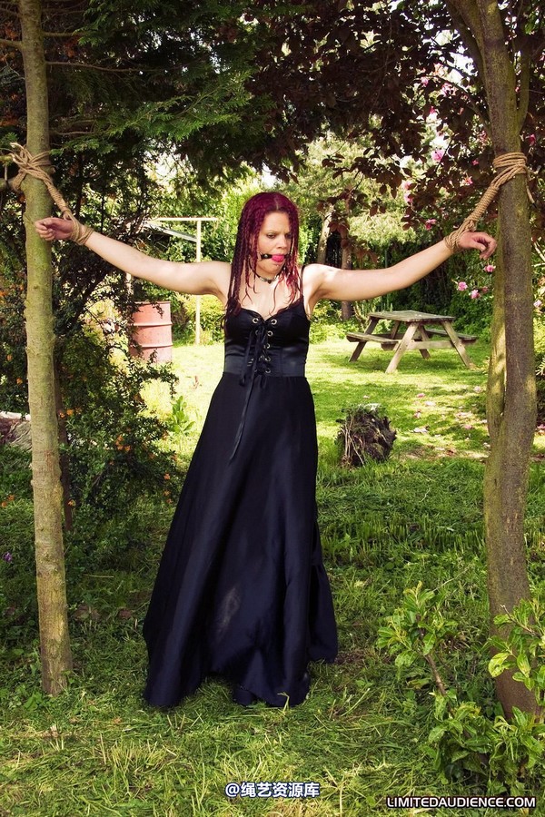 limitedaudience - 2010 beckykat between trees 第 1 张图片