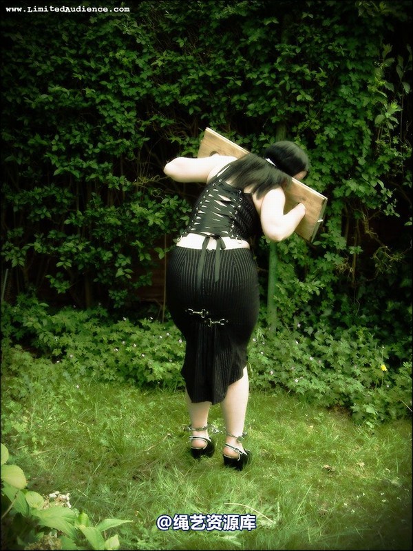 limitedaudience - 2007 asphyxia silenced secretary 第 33 张图片