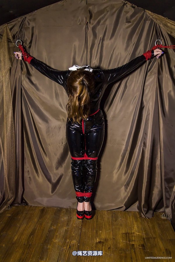 limitedaudience - 2014 trisha captured catburglar 第 37 张图片
