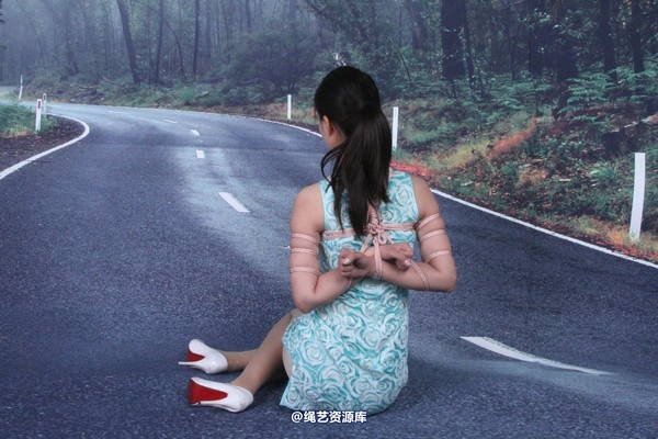 胜景山庄 - 142-马路上被捆住 第 25 张图片