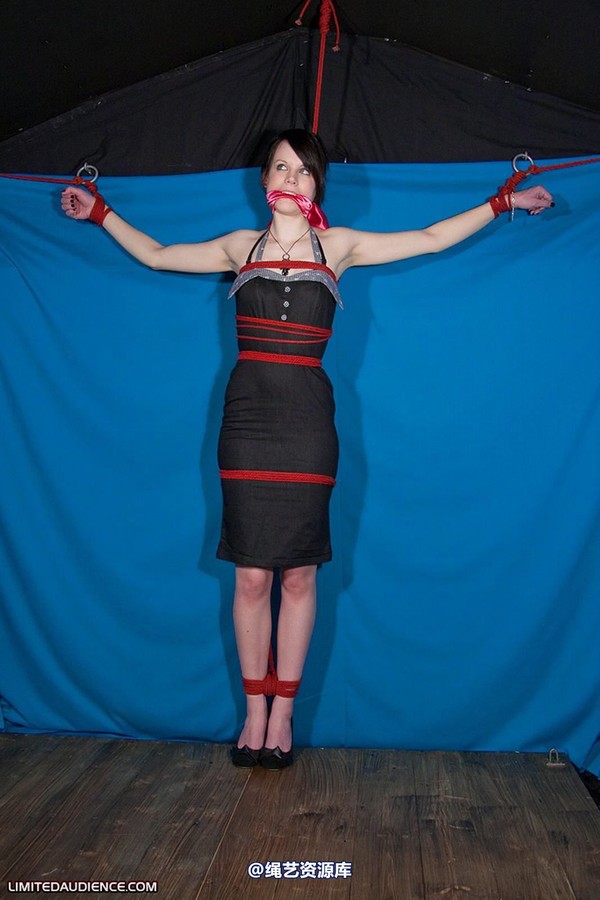 limitedaudience - 2010 luisa tied to the wall 第 23 张图片