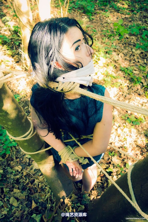 limitedaudience - 2015 stacey von in the forest 2 第 5 张图片