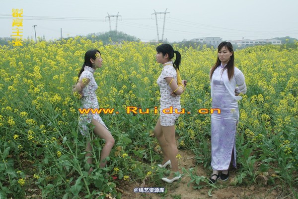 锐度主张 - 4月8日网友聚会室外篇1 第 71 张图片