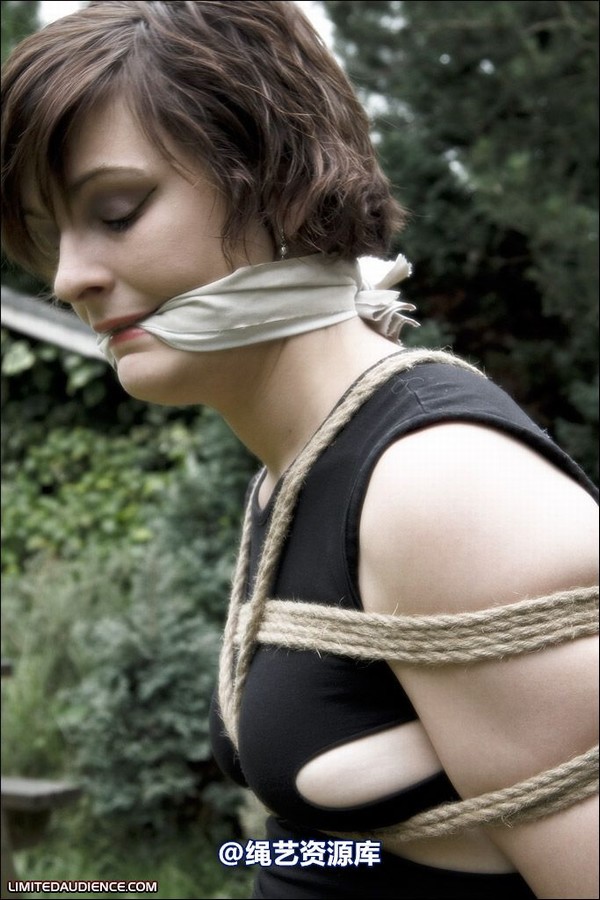 limitedaudience - 2008 ellie west bench bound wench 第 6 张图片