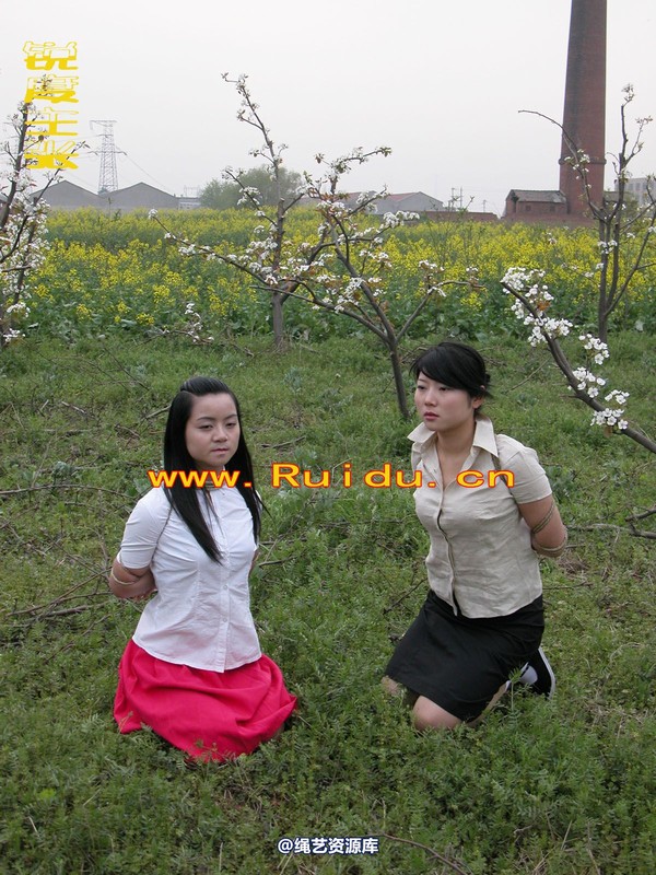 锐度主张 - 婷婷和寒冰梨花林中 第 62 张图片