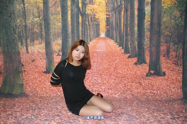 胜景山庄 - 099-森林里的拍摄 第 26 张图片