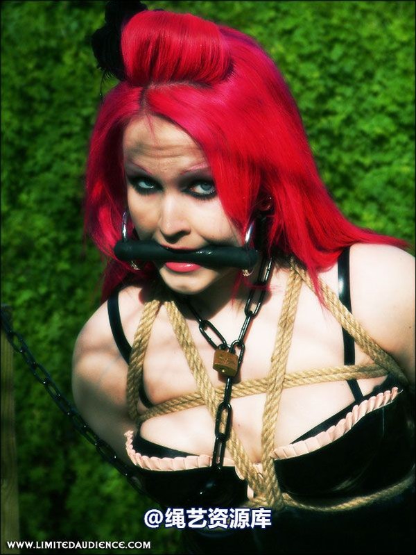 limitedaudience - 2007 assisted suicide at the slave market 第 16 张图片