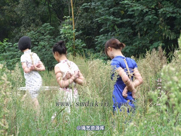锐度主张 - 2013年第十二捆绑图（2013.3.26） 第 13 张图片
