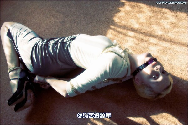 limitedaudience - 2008 ariel hogtied secretary 2 第 20 张图片