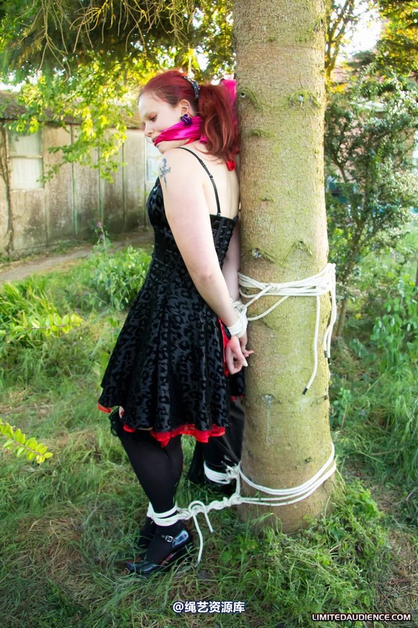 limitedaudience - 2011 beckykat loltaru moored to tree 第 2 张图片