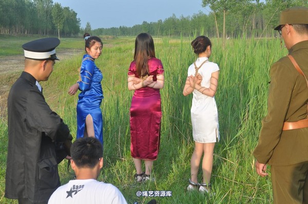 mj影视 - 凤凰烈焰 第 317 张图片