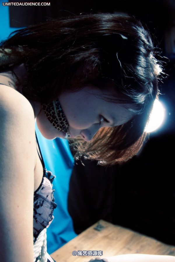 limitedaudience - 2010 luisa alone with her captor 2 第 8 张图片