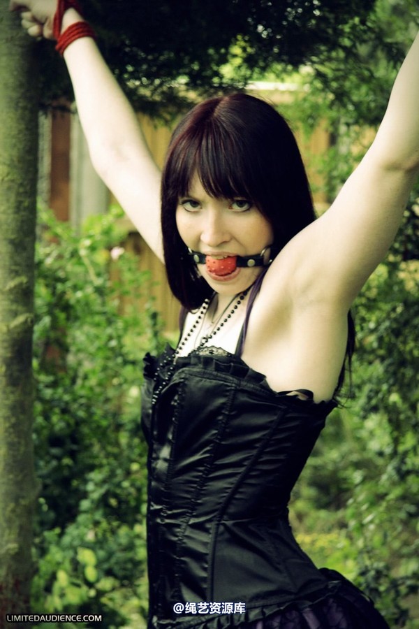 limitedaudience - 2011 syrah lee helpless outdoors 第 25 张图片