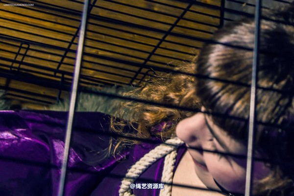 limitedaudience - 2014 fay inside the cage 2 第 8 张图片