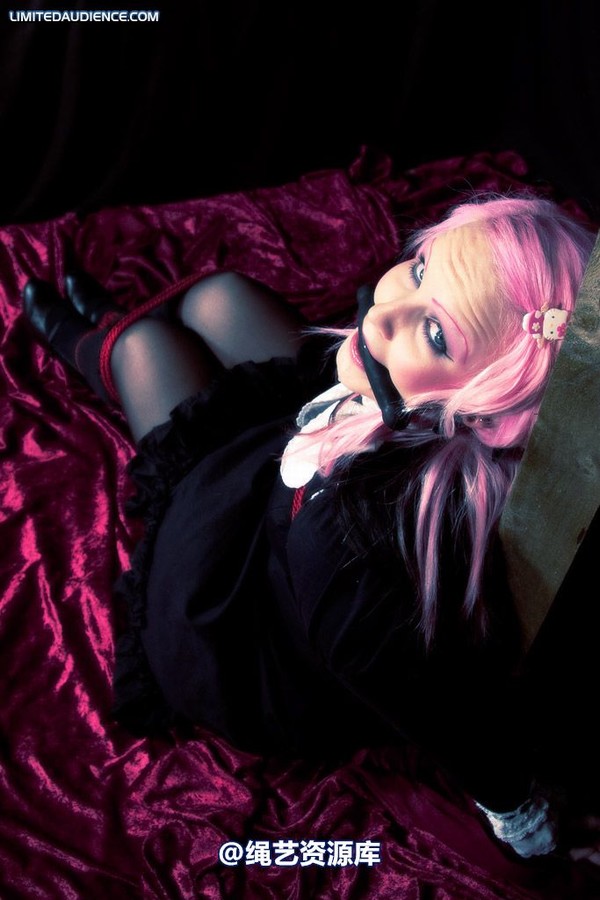 limitedaudience - 2009 assisted suicide taken 第 29 张图片