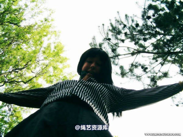 limitedaudience - 2007 nattsuko spread between trees 第 40 张图片