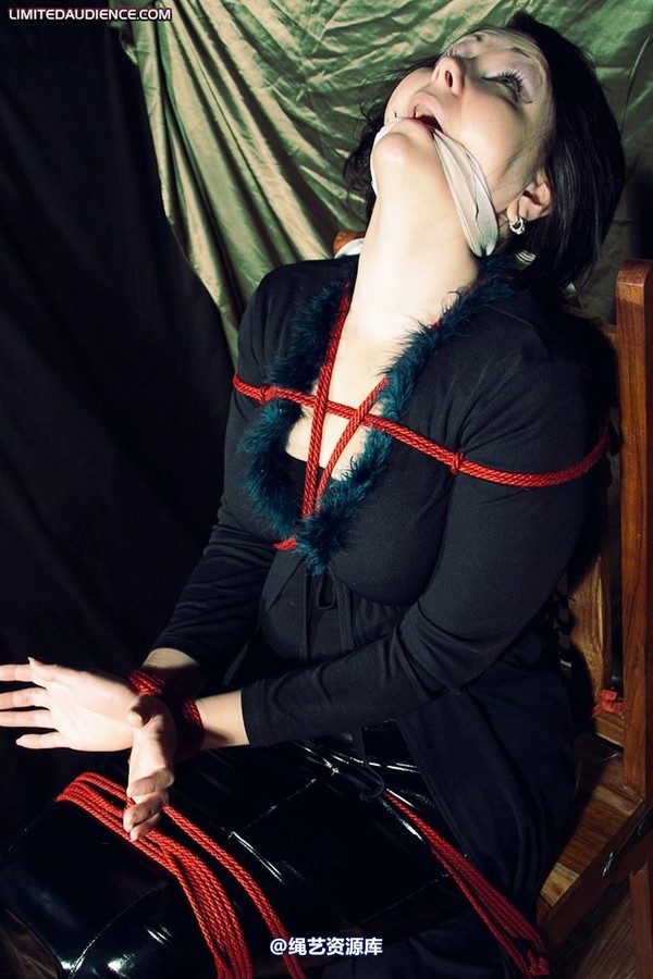 limitedaudience - 2010 deception helpless prisoner 2 第 2 张图片