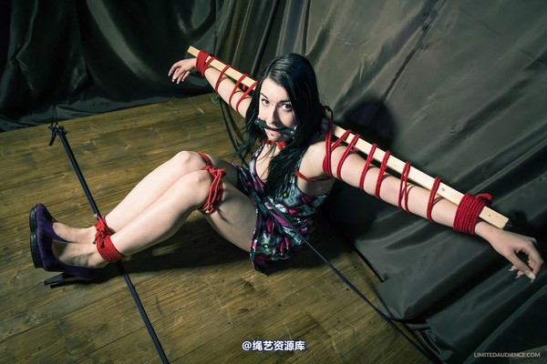 limitedaudience - 2013 stacey von time challenge 2 第 27 张图片
