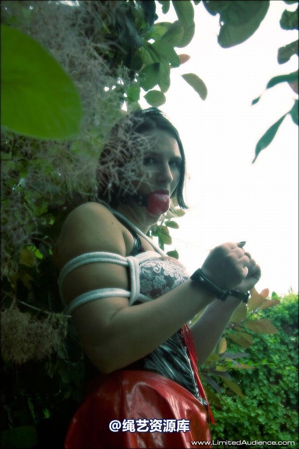 limitedaudience - 2007 ivy leaf pvc wench 第 22 张图片