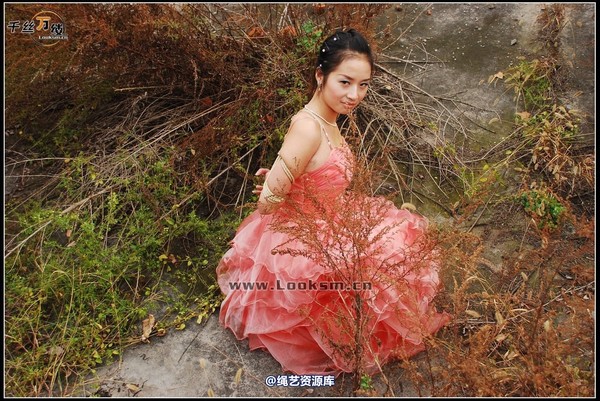 千丝万缕 - 2007-10-27日照片 第 3 张图片